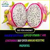 Dragon Fruit's